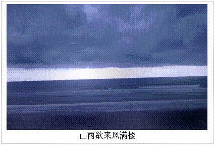 读过高尔基的《海燕》