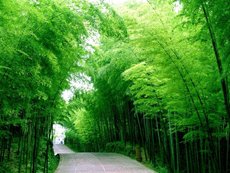 我在汇淼正式入职的那一天